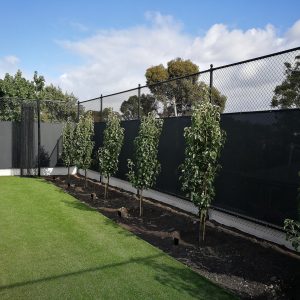 Privacy screen in garden