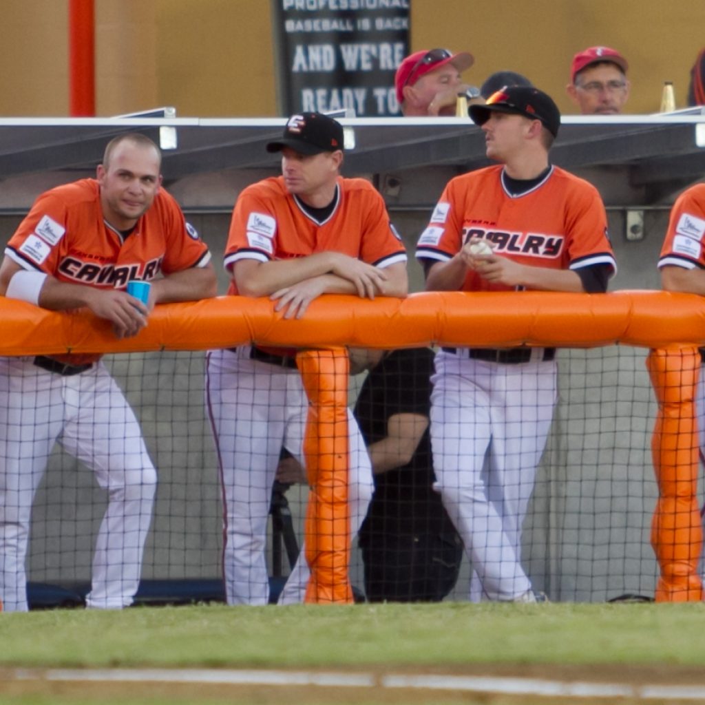 Baseball Safety Padding